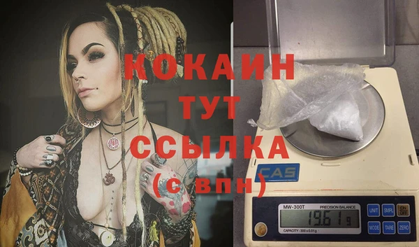 ешки Новозыбков