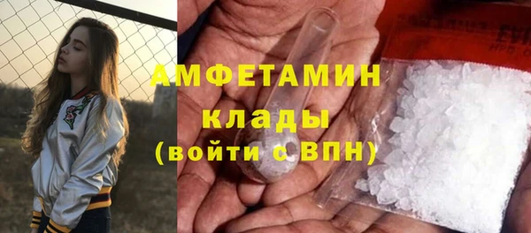 гашик Кедровый