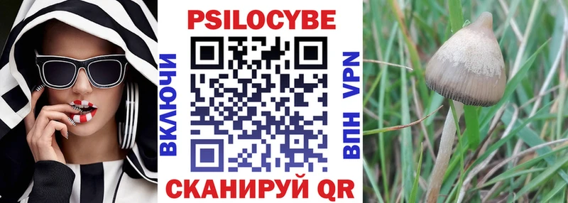 OMG как войти  Рошаль  Галлюциногенные грибы мицелий 