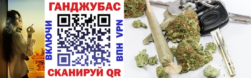 Канабис SATIVA & INDICA  сколько стоит  Рошаль 